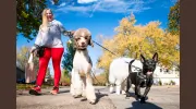 Prairie Path Pet Care