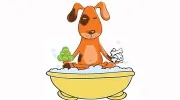 Doggy Has It