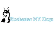 Rochester NY Dogs