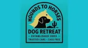 Hounds To Horses