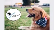 Healthy and Happy Dog Walking