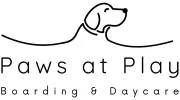 Paws at Play