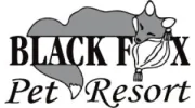 Black Fox Pet Resort