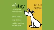 Sit & Stay Dog Training