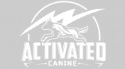 Activated Canine
