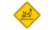 Dogs at Play